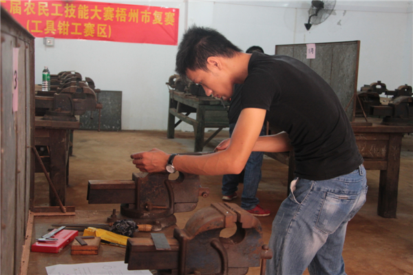 廣西第二屆農(nóng)民工技能大賽梧州市市級復(fù)賽啟動