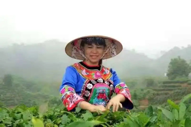 【梧州工匠】劉錦芳：鉆研和創(chuàng)新，帶領(lǐng)鄉(xiāng)親發(fā)家致富