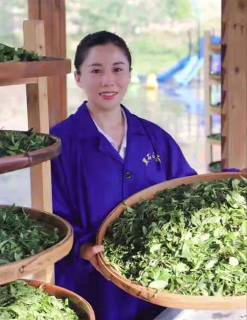 【梧州工匠】石濡菲：擇一茶，修一技，終一生