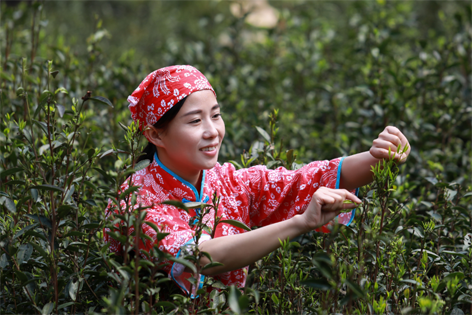 2022年“全國(guó)十佳農(nóng)民”揭曉 全國(guó)勞模石濡菲上榜！