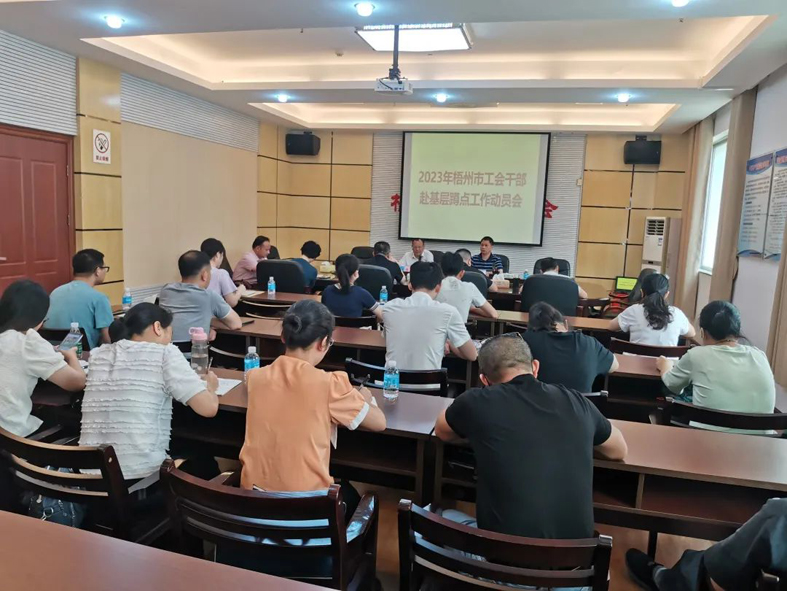梧州市總工會召開2023年梧州市工會干部赴基層蹲點工作動員會