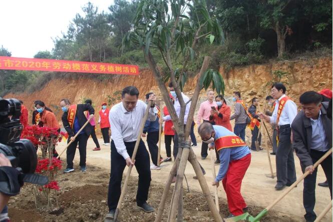 植樹(shù)造林，這群楷模這樣做