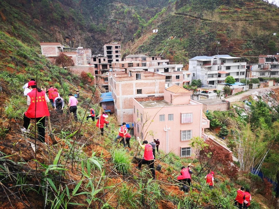 梧州市總工會(huì)開(kāi)展2020年義務(wù)植樹(shù)活動(dòng)