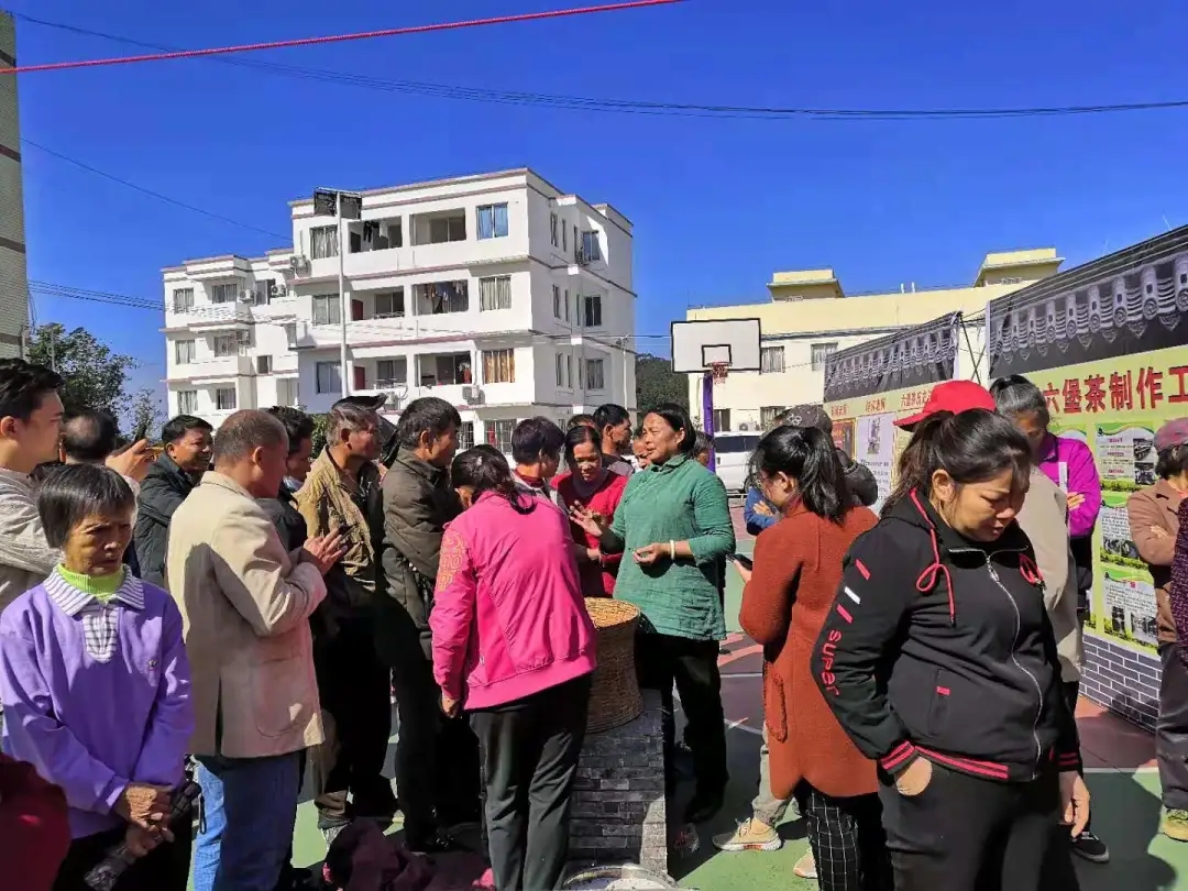 蒼梧縣總工會舉辦六堡茶技能培訓