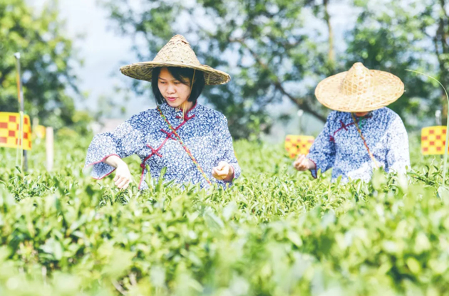 國家批復(fù)同意，梧州籌建！