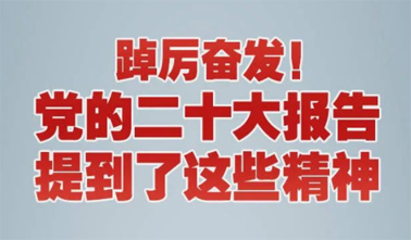 【黨的二十大】踔厲奮發(fā)！黨的二十大報(bào)告提到了這些精神