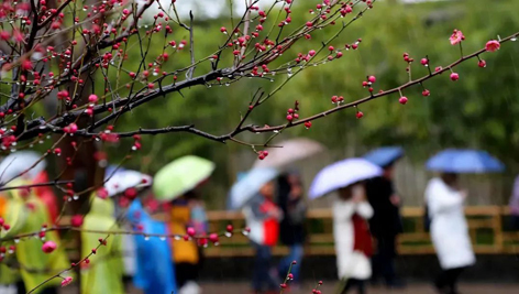 今日雨水！別忘了咱的老講究！