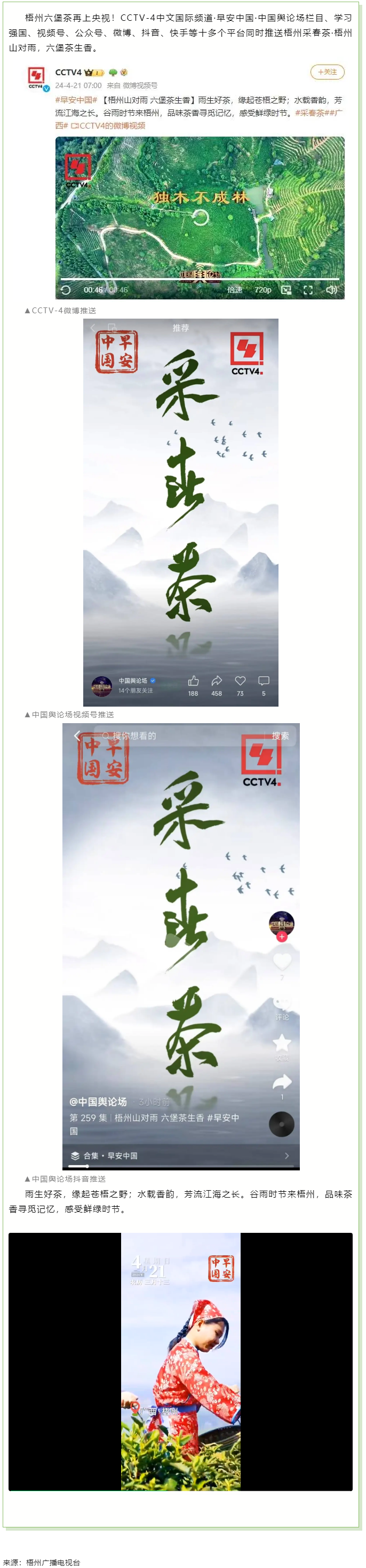 央視、學習強國等十多個平臺同時推送梧州采春茶&middot;梧州六堡茶.png