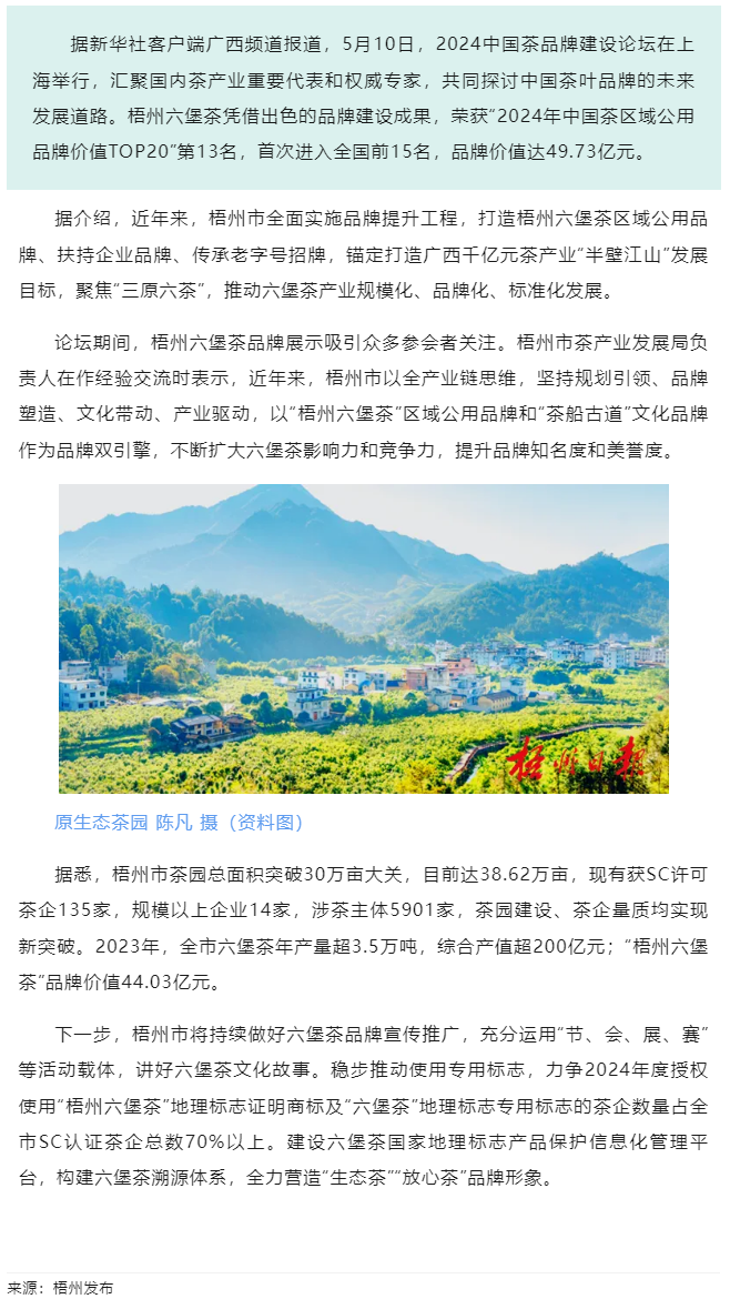 排名全國第13名！&ldquo;梧州六堡茶&rdquo;品牌價值實現(xiàn)新突破.png