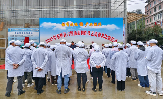 2025年蒼梧縣六堡油茶制作技藝培訓及比賽活動圓滿落幕！