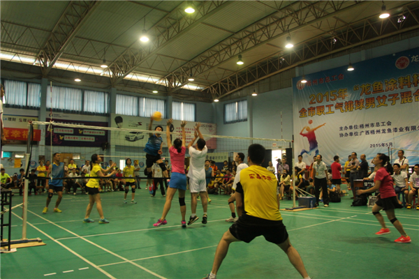 市總工會舉辦2015年“龍魚涂料杯”全市職工氣排球男女子混合比賽