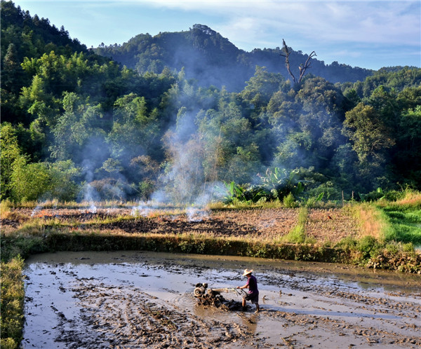 《春耕》-- 張玲攝.jpg